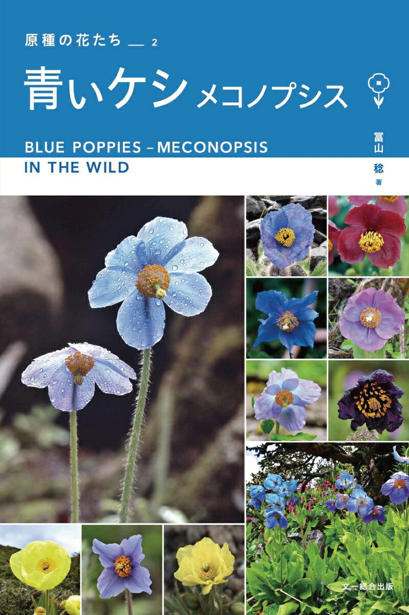 世界中の人々を魅了する憧れの花！ヒマラヤ、中国の標高３０００ｍ以上に咲く青いケシを求め、３０年通い続けた写真記録。