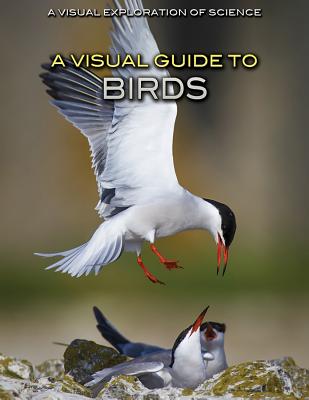 VISUAL GT BIRDS Visual Exploration of Science Editorial Staff ROSEN YOUNG ADULT2018 Library　Binding English ISBN：9781508182313 洋書 NonーClassifiable（その他）