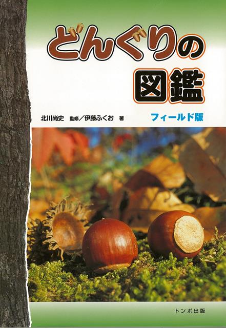 【バーゲン本】どんぐりの図鑑　フィールド版