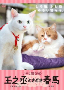 いやし猫 DVD 猫侍 玉之丞ときどき春