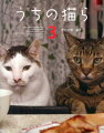 アレ？？また増えちゃったの？帰ってきた「ぶ」顔。人気ブログの「ぶ」顔猫ヨウカンさんに家族が増え、猫らの生活はますますにぎやかに？！