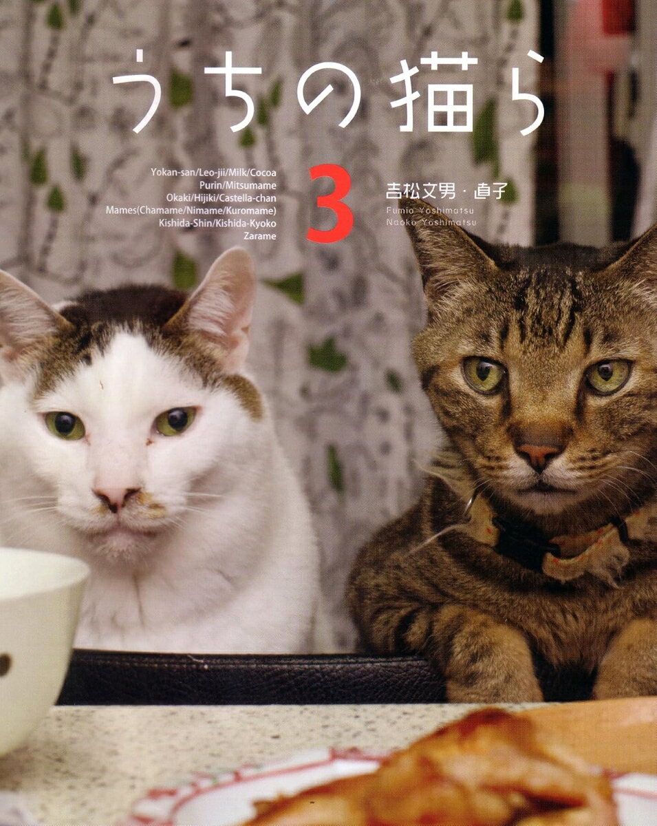 アレ？？また増えちゃったの？帰ってきた「ぶ」顔。人気ブログの「ぶ」顔猫ヨウカンさんに家族が増え、猫らの生活はますますにぎやかに？！