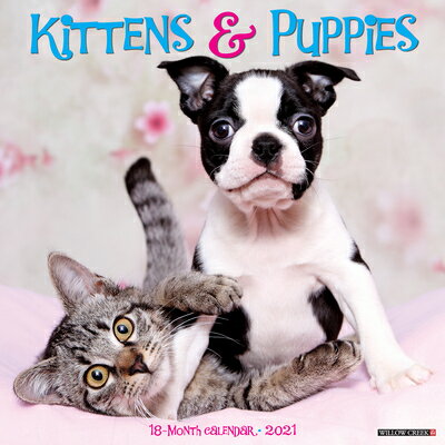 Kittens & Puppies 2021 Wall Calendar KITTENS & PUPPIES 2021 WALL CA [ Willow Creek Press ]