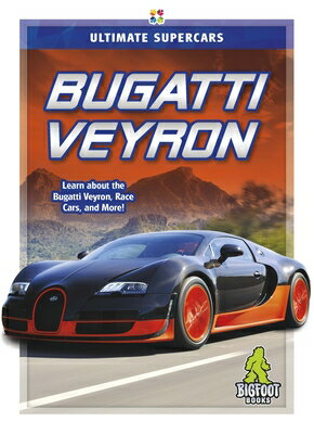 Bugatti Veyron BUGATTI VEYRON [ Megan Durkin ]