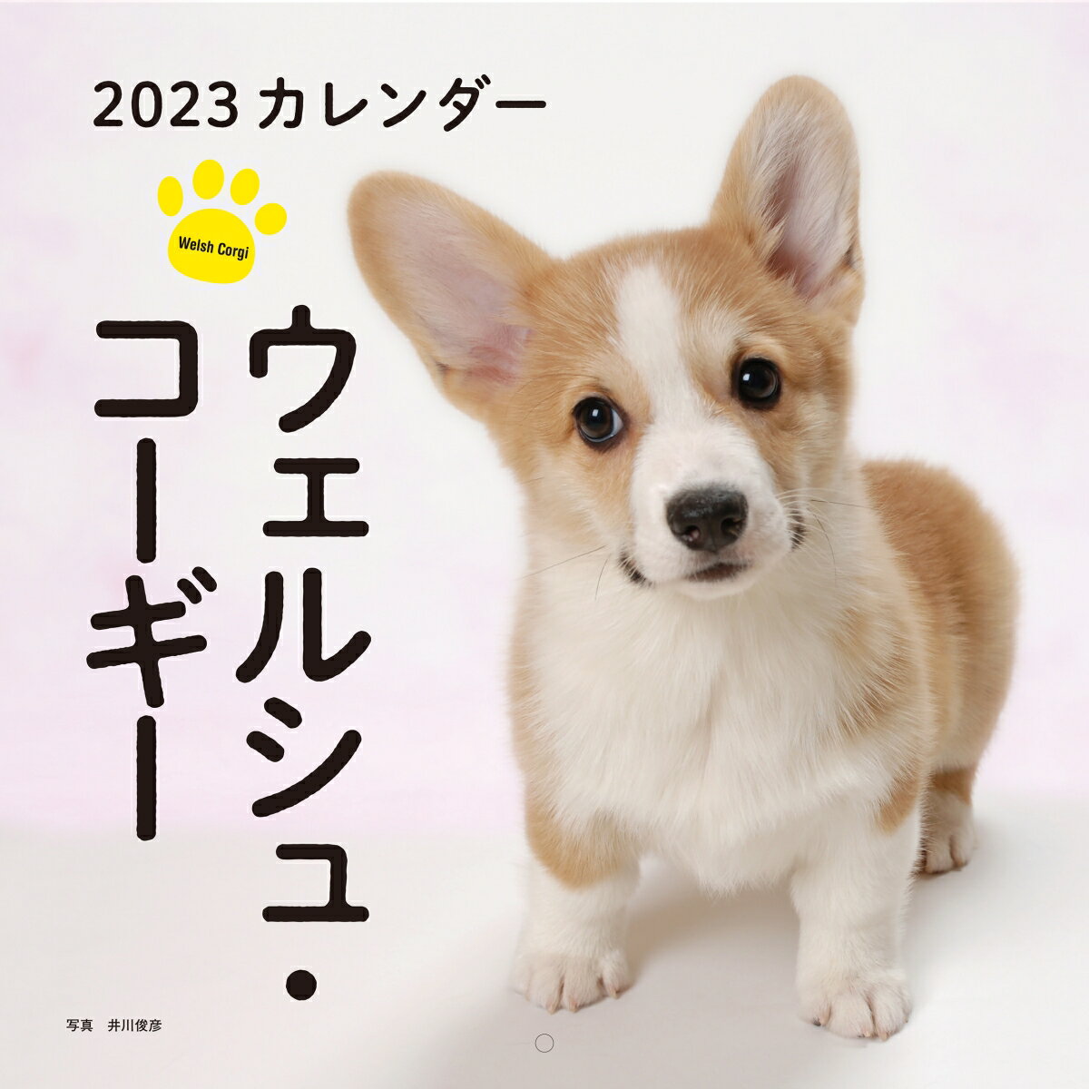 2023年カレンダー ウェルシュ・コーギー