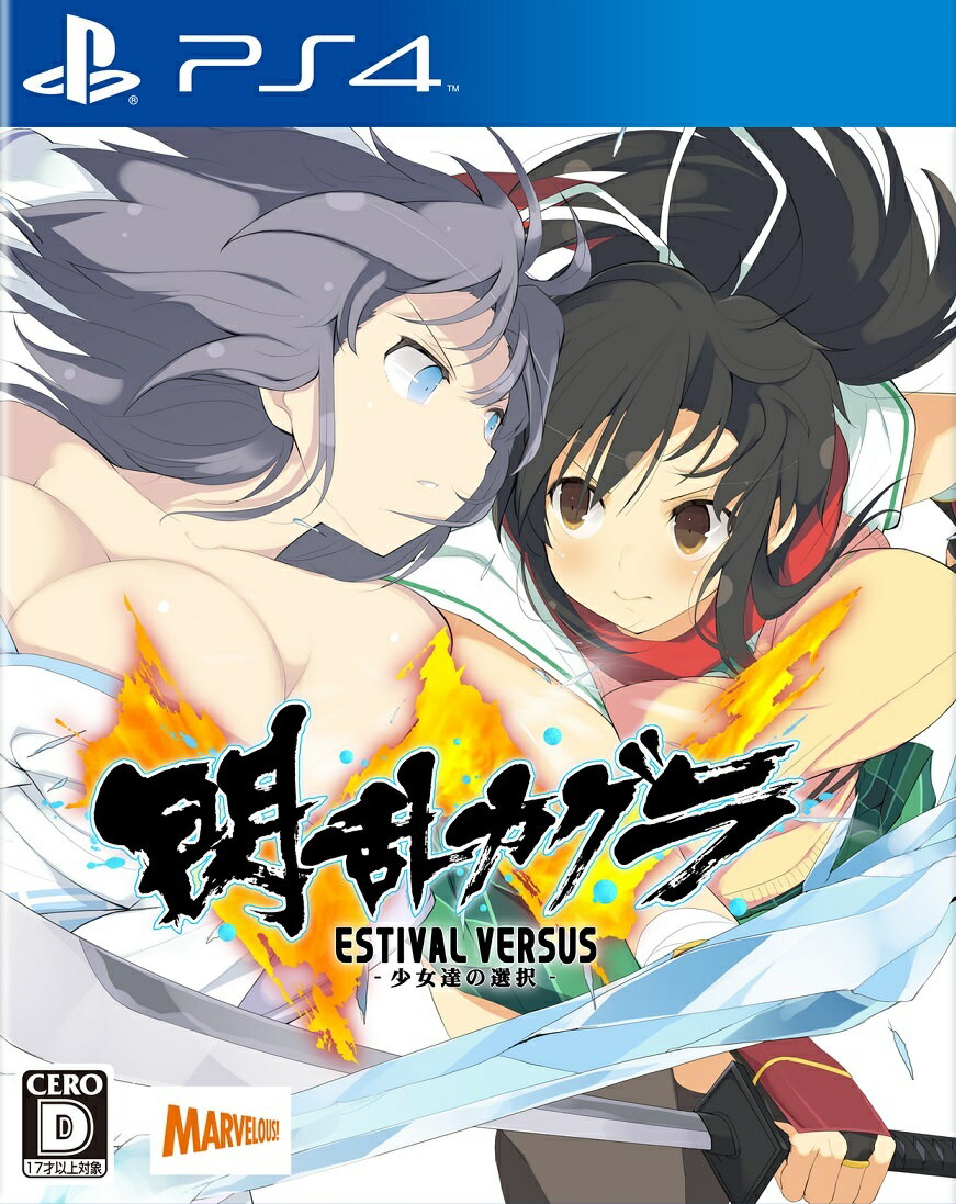 閃乱カグラ ESTIVAL VERSUS - 少女達の選択 - 通常版 PS4版の画像