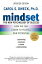 MINDSET:THE NEW PSYCHOLOGY OF SUCCESS(B)