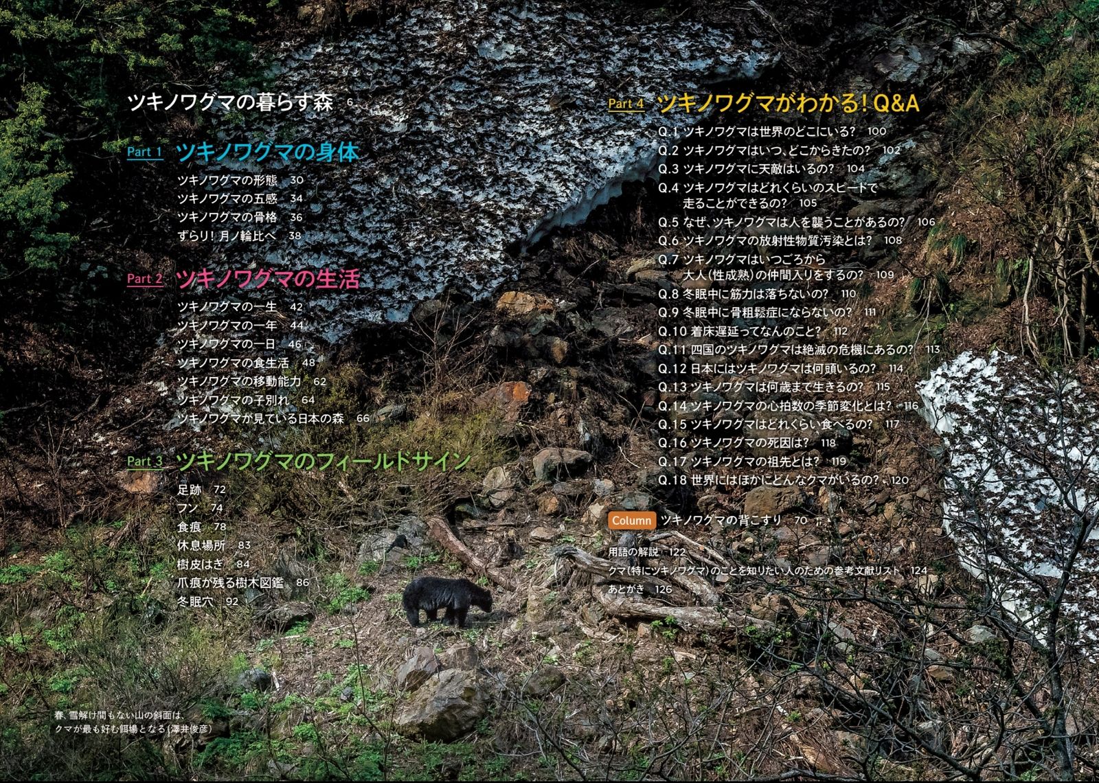 ツキノワグマのすべて 森と生きる。 [ 小池伸介 ] 3