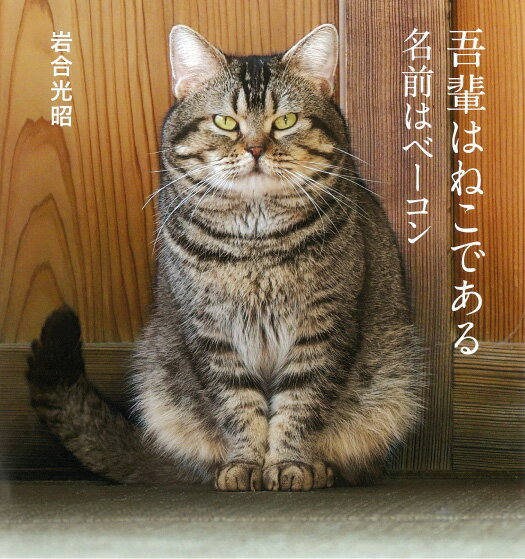 映画「ねことじいちゃん」に出演したネコ、“ベーコン”の写真集。