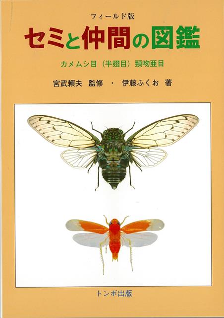 【バーゲン本】セミと仲間の図鑑　フィールド版