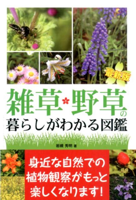 雑草・野草の暮らしがわかる図鑑最新版