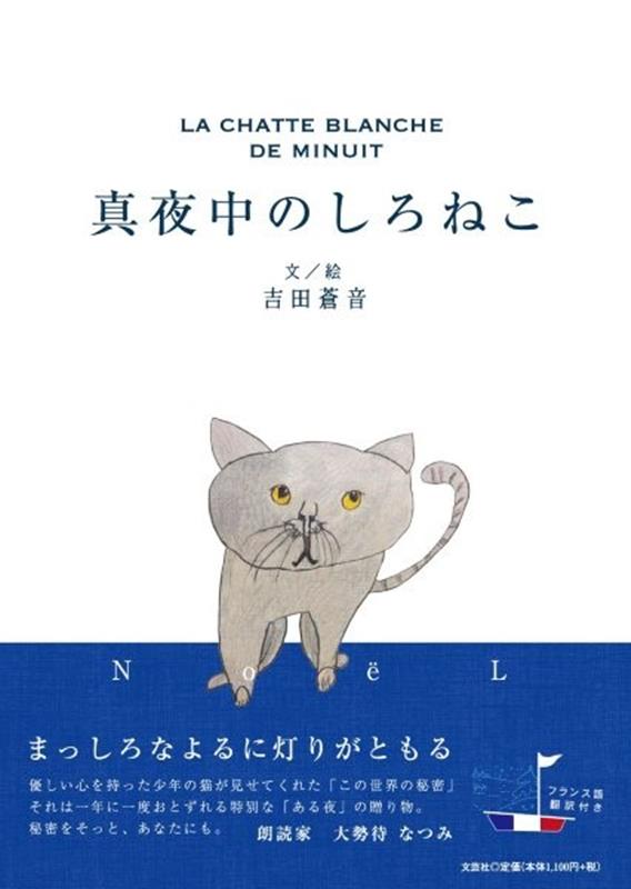真夜中のしろねこ