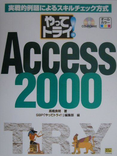 やってトライ！Access　2000