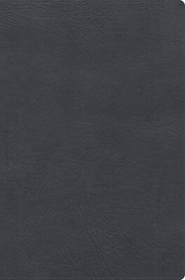 Rvr 1960 Biblia de Estudio Letra Gigante, Gris, Smil Piel SPA-RVR 1960 BIBLIA DE ESTUDIO 