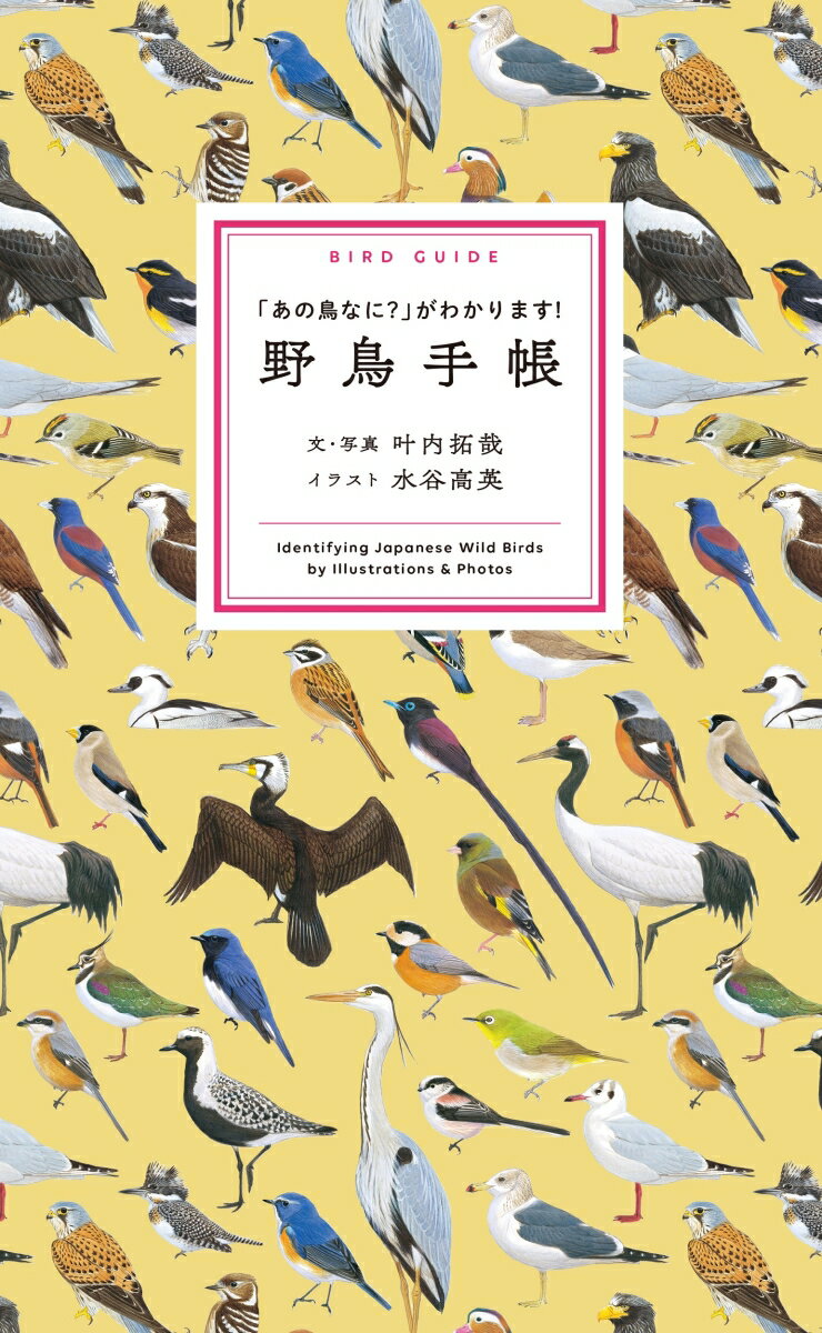 ２４２種の野鳥図鑑。美しいイラストと写真で似ている鳥の違いがわかる！人に話したくなるコラムも多数収録！
