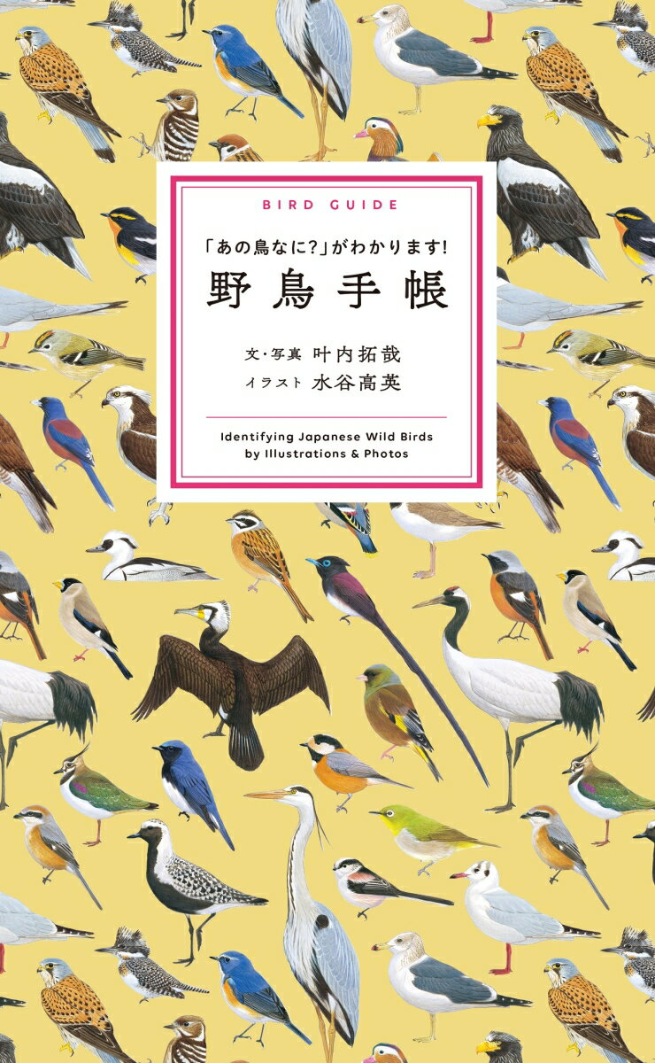 野鳥手帳 あの鳥なに がわかります [ 叶内拓哉 ]