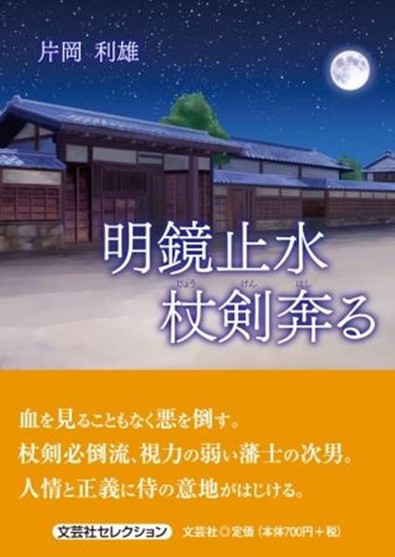 明鏡止水　杖剣奔る