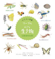 9784759822366 1 2 - 2024年昆虫イラストの勉強に役立つ書籍・本まとめ