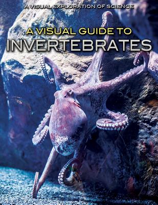 A Visual Guide to Invertebrates VISUAL GT INVERTEBRATES （Visual Exploration of Science） 