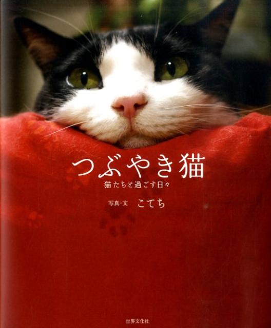 つぶやき猫 猫たちと過ごす日々 [ こてち ]
