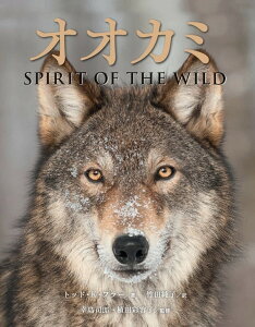 オオカミ　SPIRIT OF THE WILD [ T. K. Fuller ]