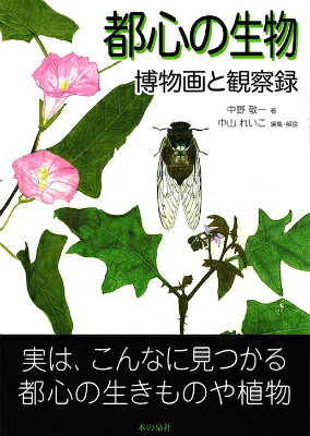 道端で出会う、都心の生きものたちを楽しむ日々。実は、こんなに見つかる都心の生きものや植物。