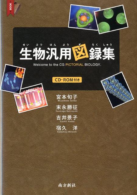 生物汎用図録集 [ 宮本旬子 ]