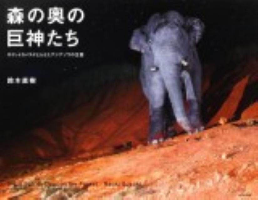 森の奥の巨神たち