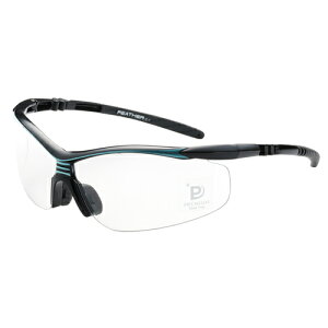 EYE CARE GLASS PREMIUM （保護メガネ） FEATHER02 Premium BK