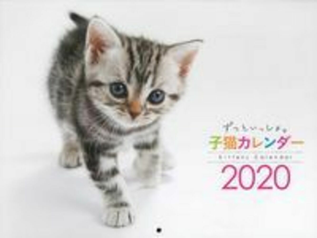 ずっといっしょ。子猫カレンダー2020