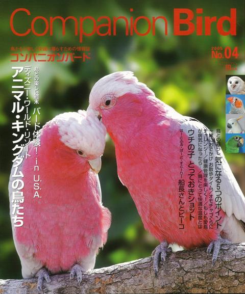 【バーゲン本】コンパニオンバード　No．04