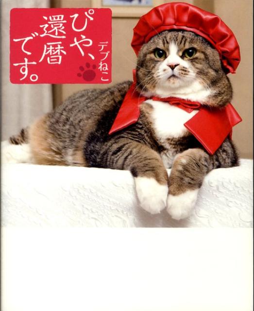 ぴや、還暦です。