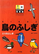 鳥のふしぎ