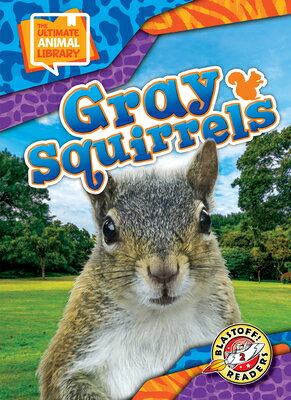 Gray Squirrels GRAY SQUIRRELS （The Ultimate Animal Library） 