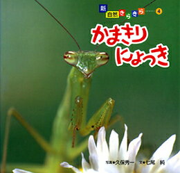 かまきりにょっき