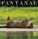 PANTANAL パンタナール 岩合光昭