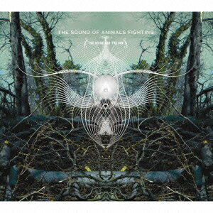 オーシャン・アンド・サン [ ザ・サウンド・オブ・アニマルズ・ファイティング ]