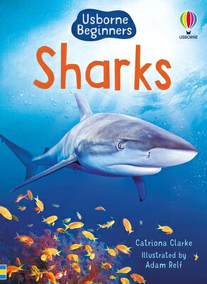 Sharks (Usborne Beginners) SHARKS (USBORNE BEGINNERS) （Beginners） 