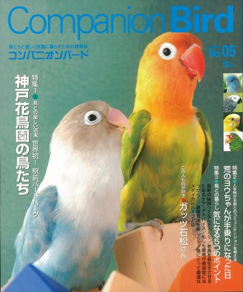 【バーゲン本】コンパニオンバード　No．05