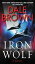 Iron Wolf IRON WOLF Brad McLanahan [ Dale Brown ]