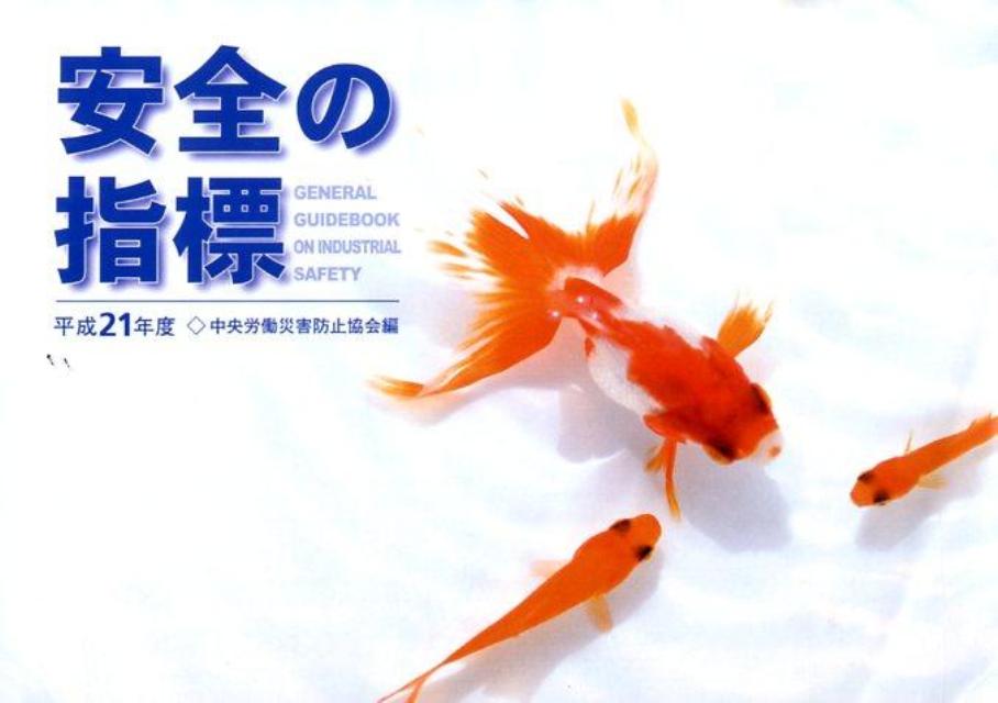 安全の指標（平成21年度）