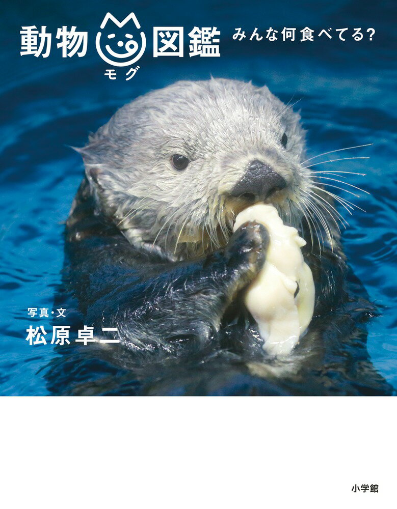動物mg図鑑