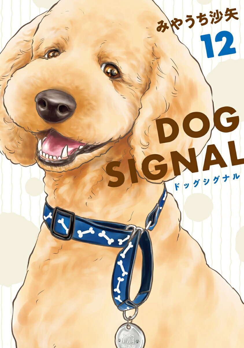 DOG SIGNAL 12 （BRIDGE COMICS） [ みやうち 沙矢 ]