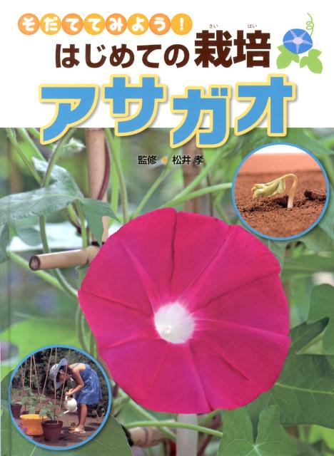 アサガオ