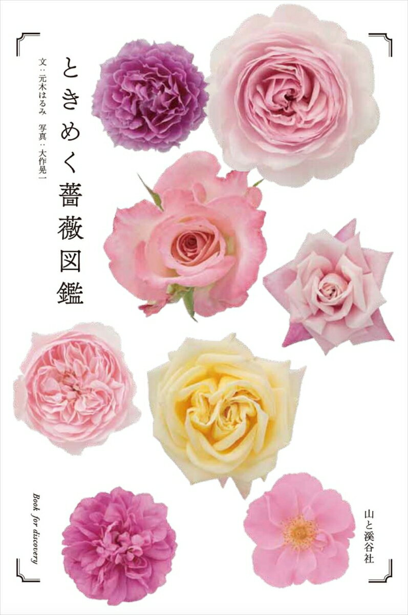 ときめく薔薇図鑑 （Book for discovery） 元木はるみ