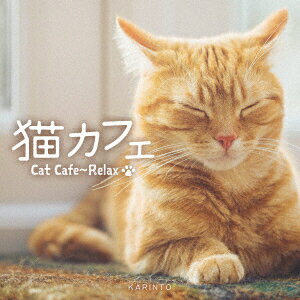 猫カフェ〜リラックス