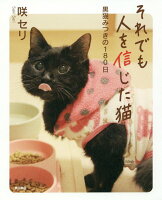 それでも人を信じた猫 黒猫みつきの180日