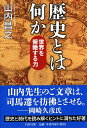 歴史とは何か 世界を俯瞰する力 （PHP文庫） 山内昌之