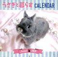 うさぎと暮らすカレンダー(壁掛け)