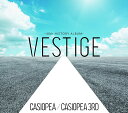 VESTIGE -40th HISTORY ALBUM- CASIOPEA/CASIOPEA 3rd